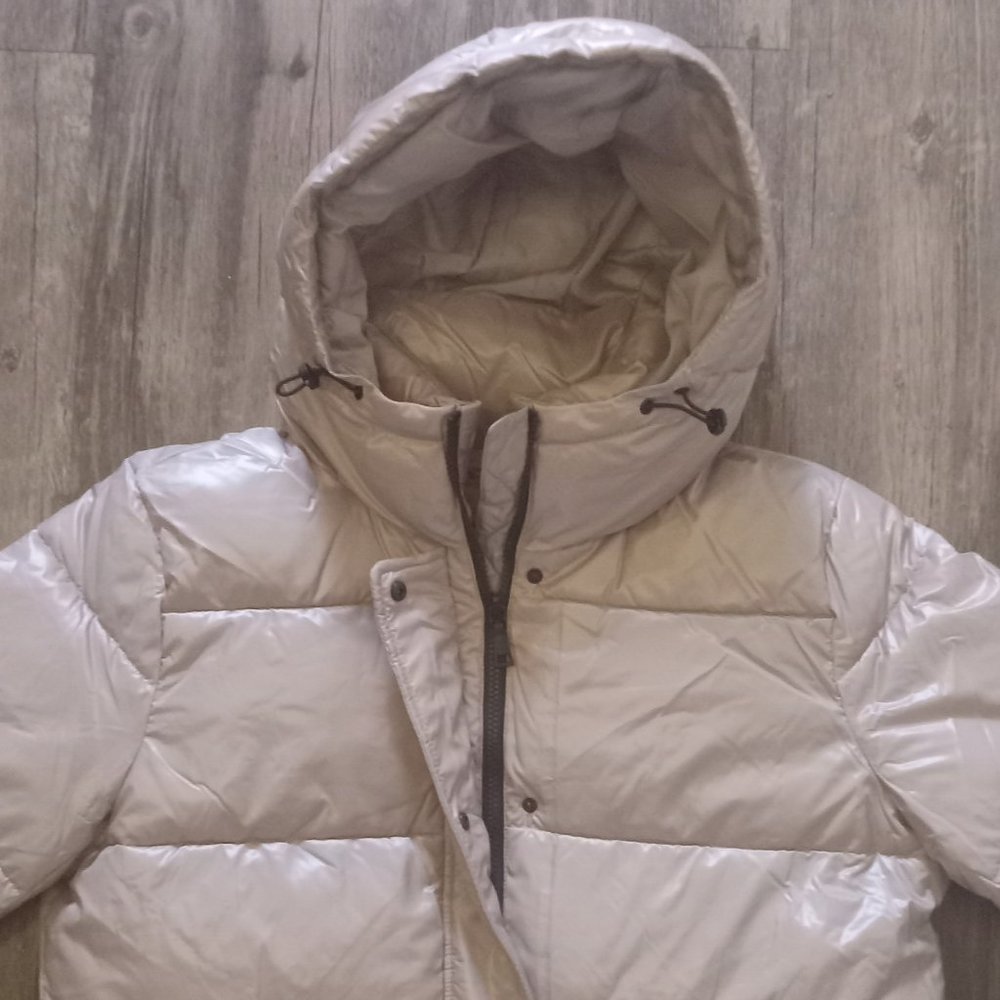 **FINAL SALE** NWT Jacket  (L)